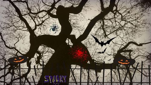Low angle view of silhouette tree against sky