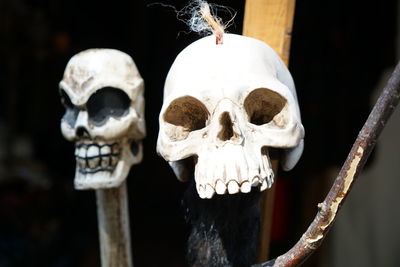 Close-up of human skull