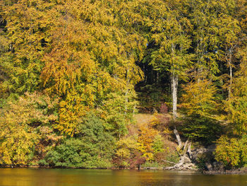 The island of rügen