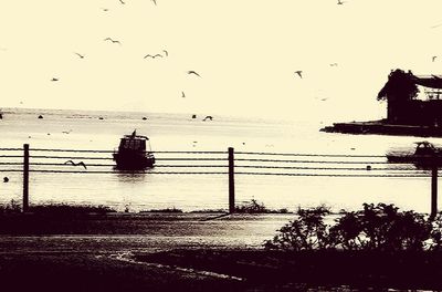 Silhouette birds flying over sea against sky during sunset