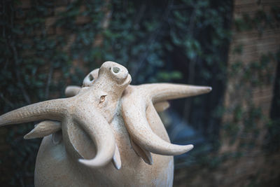 Close-up of a statue against blurred background