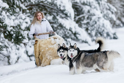 Woman with dogs on snow covered land