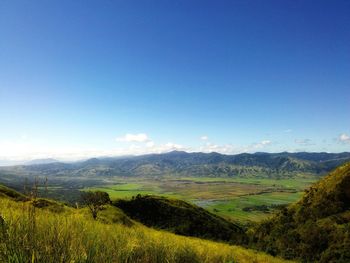Scenic view of field against clear sky