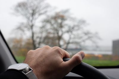 Cropped image of person hand holding plant against trees