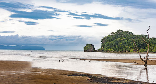 Scenic view of beach against sky