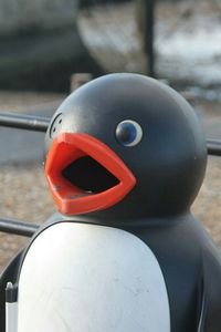 Close-up of plant against blurred background
