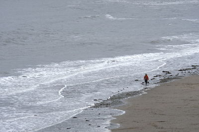 High angle view of person on beach