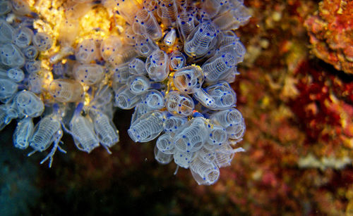 Close-up of water