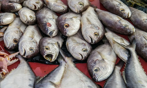 Full frame shot of fish for sale at market stall