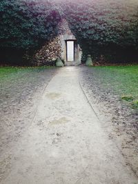 Walkway along trees