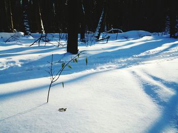 Scenic view of snow field