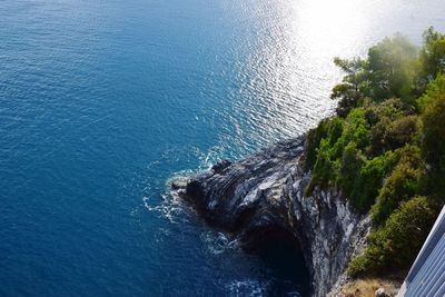 High angle view of plants by sea against sky