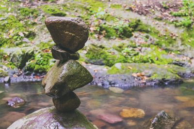 Close-up of rock on water