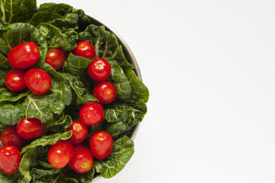 Directly above shot of tomatoes against white background