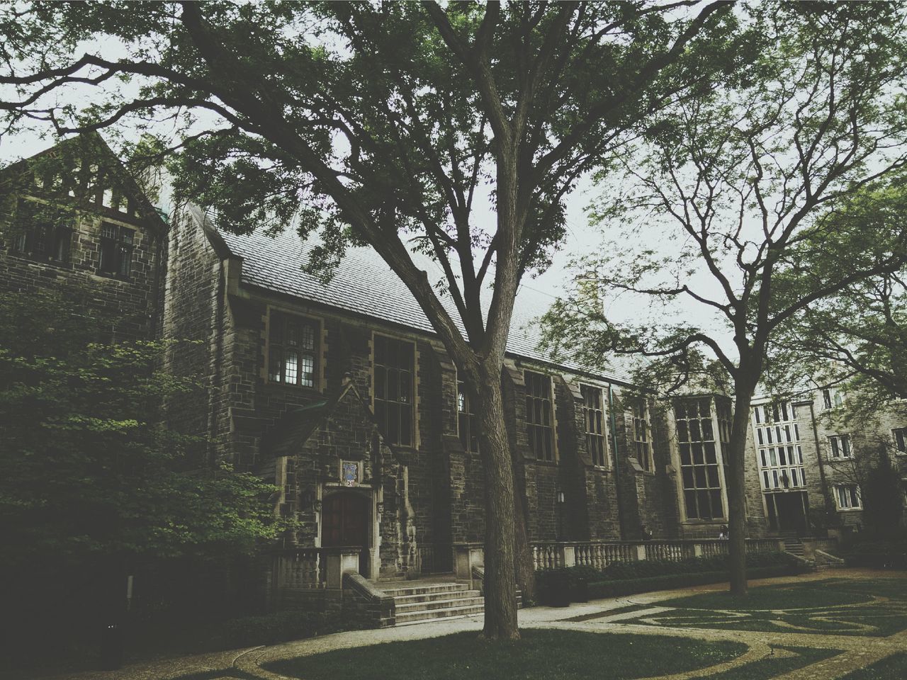 TREES AND BUILDING IN CITY