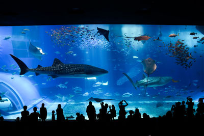 Group of people in fish tank