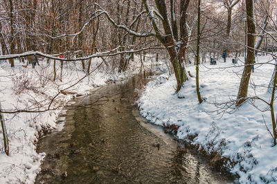 Bare trees on snow covered land