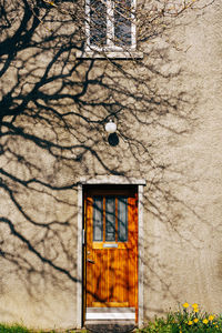 Window of building