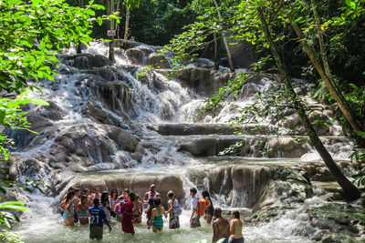 View of waterfall in forest