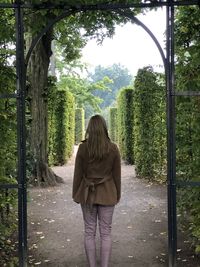 Rear view of woman standing by trees