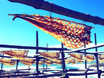 Low angle view of fish against blue sky