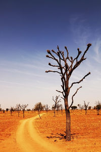 Bare trees on landscape against clear sky