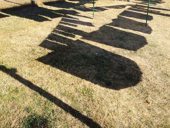 High angle view of shadow on ground