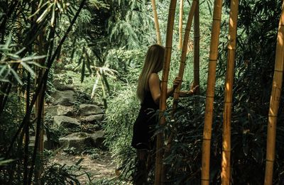 Woman amidst trees in forest