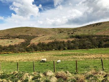 Scenic view of landscape against sky