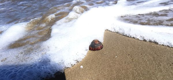 High angle view of surf on beach