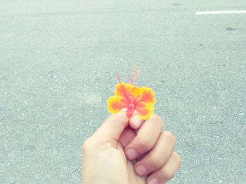 Close-up of hand holding red rose flower