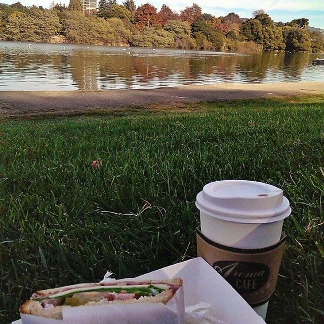 grass, water, tranquility, lake, tranquil scene, nature, beauty in nature, lakeshore, grassy, reflection, plant, day, outdoors, scenics, growth, field, relaxation, green color, landscape, no people