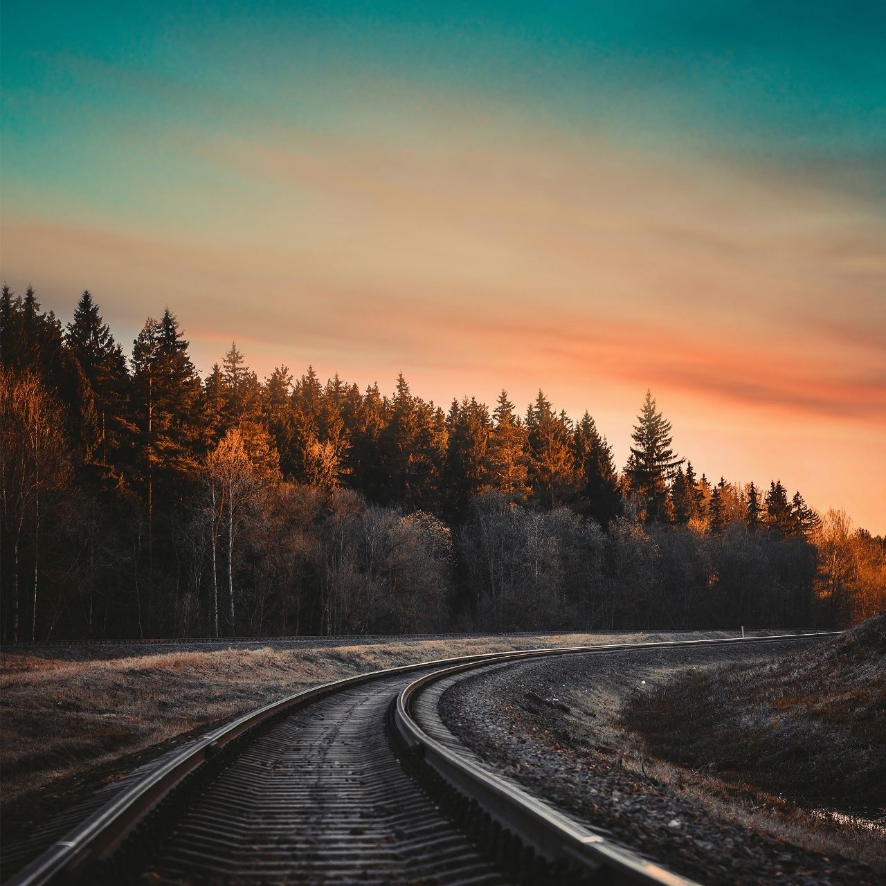 tree, sunset, sky, plant, beauty in nature, transportation, direction, nature, scenics - nature, no people, the way forward, tranquil scene, tranquility, orange color, road, non-urban scene, cloud - sky, landscape, rail transportation, environment, outdoors