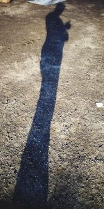 Shadow of person on street