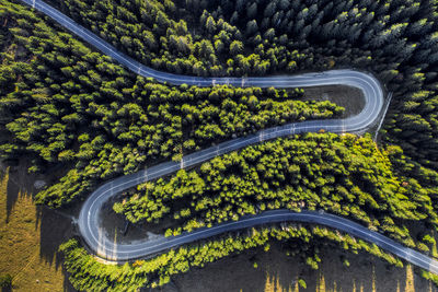 Aerial view of winding road amidst trees