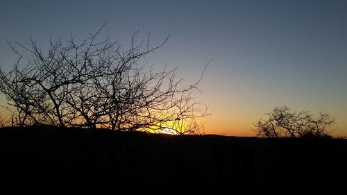 Low angle view of silhouette bare trees against clear sky