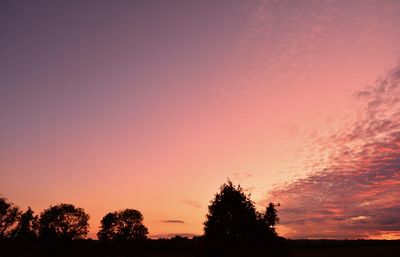 Silhouette trees against dramatic sky during sunset