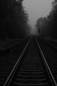 Railroad tracks in misty forest, silkeborg