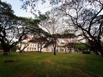 Trees in park against sky