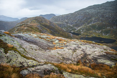 A beautiful autumn landscape in folgefonna national park in norway during a hike.