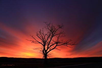 Silhouette bare tree on landscape against orange sky