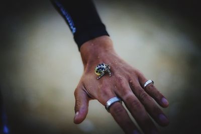 Cropped hand holding hermit crab