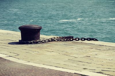 Close-up of horse by sea