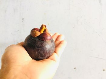 Close-up of hand holding fruit