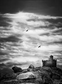 Low angle view of birds flying over rocks