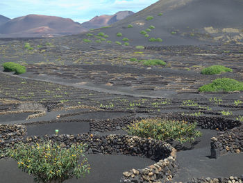 Arrecife and the island lanzarote