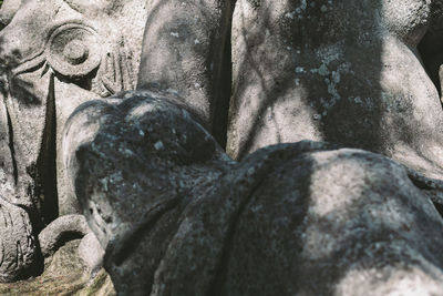 Close-up of statue by rock