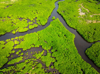 High angle view of road