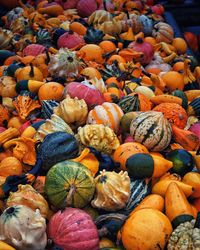 Full frame shot of pumpkins for sale at market stall