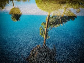 Close-up of tree by lake against sky